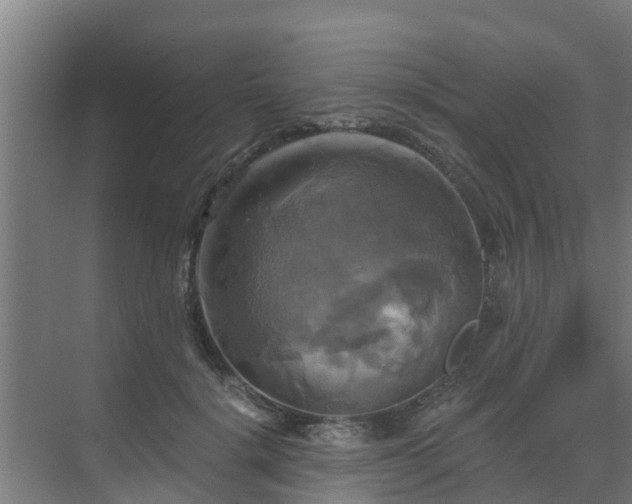 X0000069810652200605261750