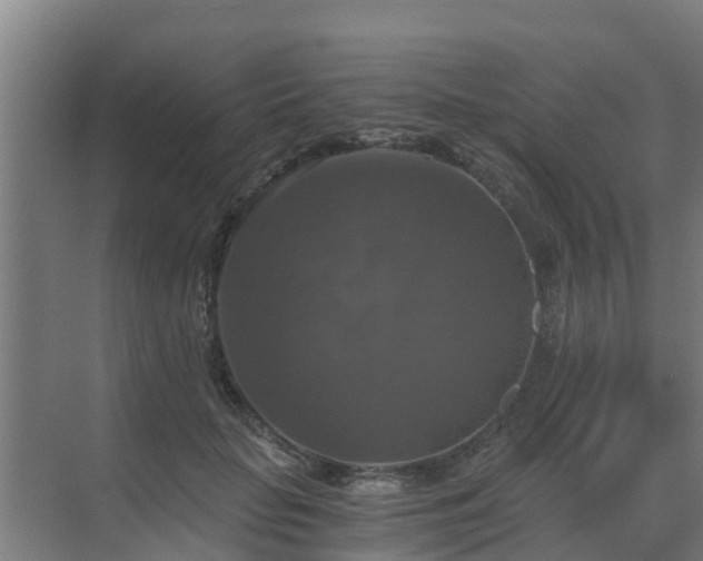 X0000069810653200605261750