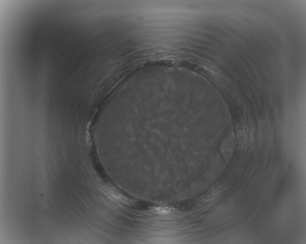 X0000069810654200605261750