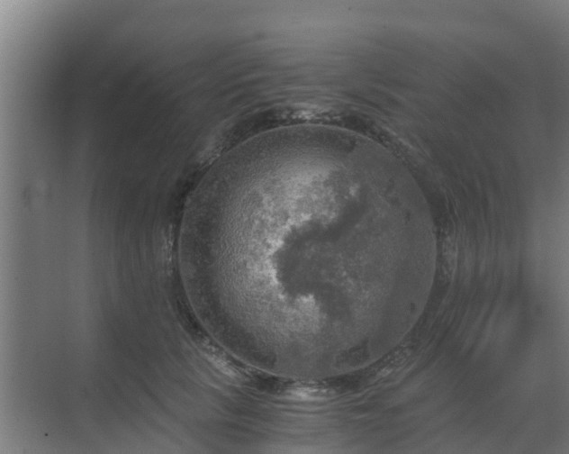 X0000069810657200605261750