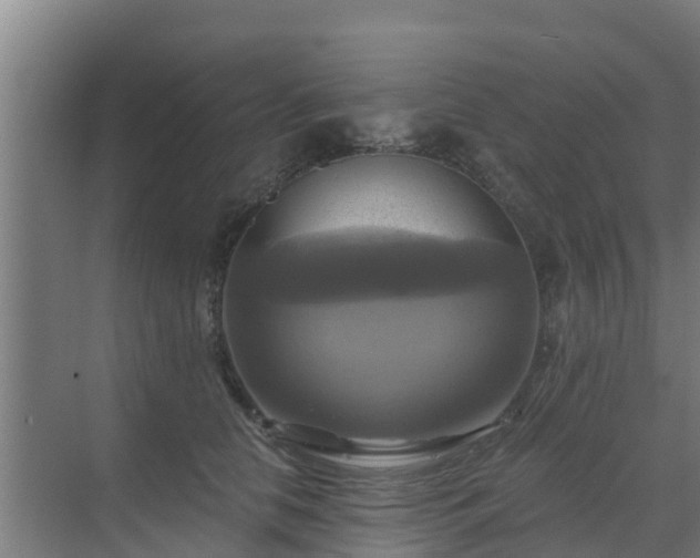 X0000069810658200605261750