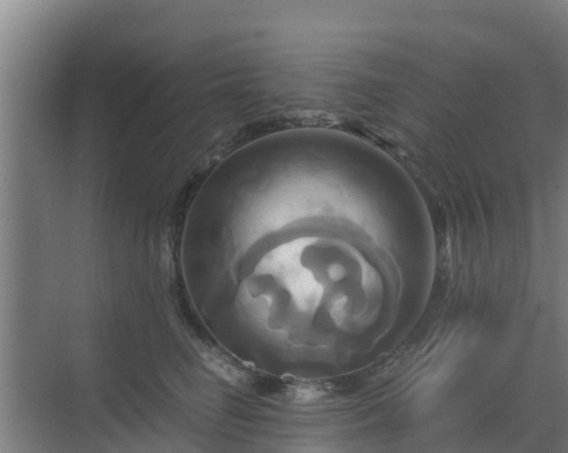 X0000069810662200605261750