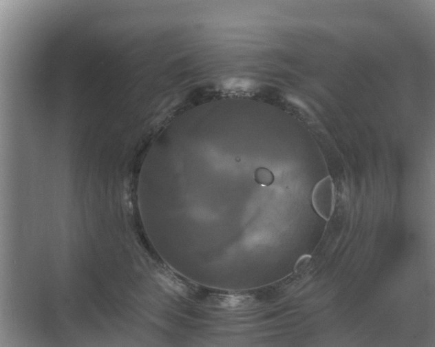 X0000069810663200605261750