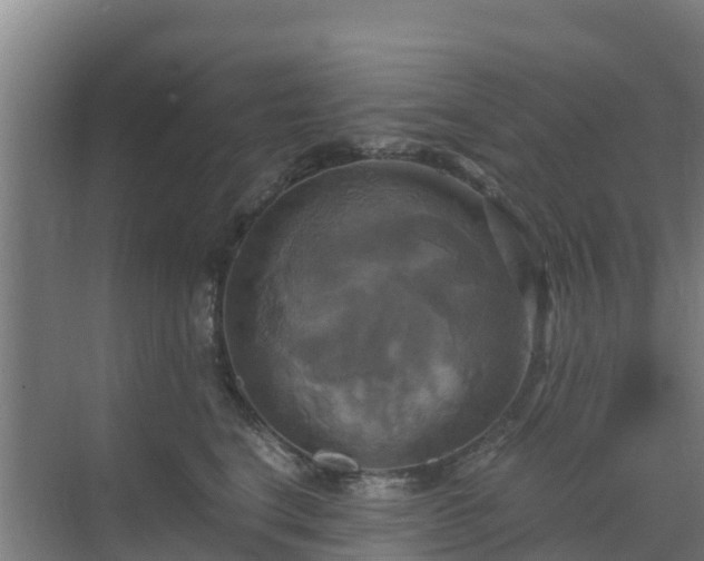 X0000069810664200605261750