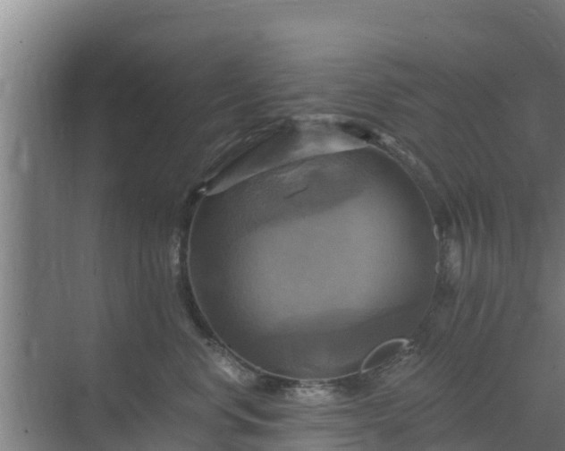 X0000069810668200605261750