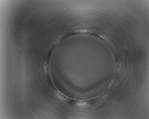 X0000069810669200605261750