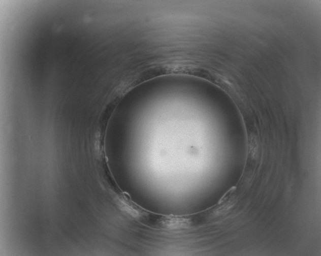 X0000069810670200605261750