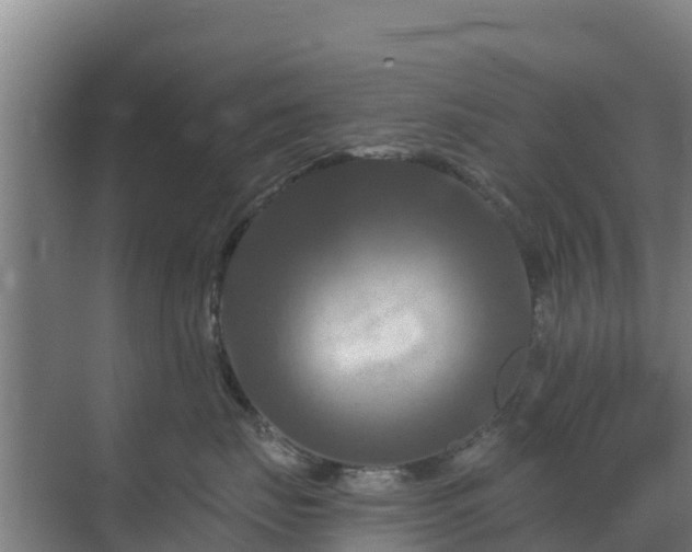 X0000069810671200605261750