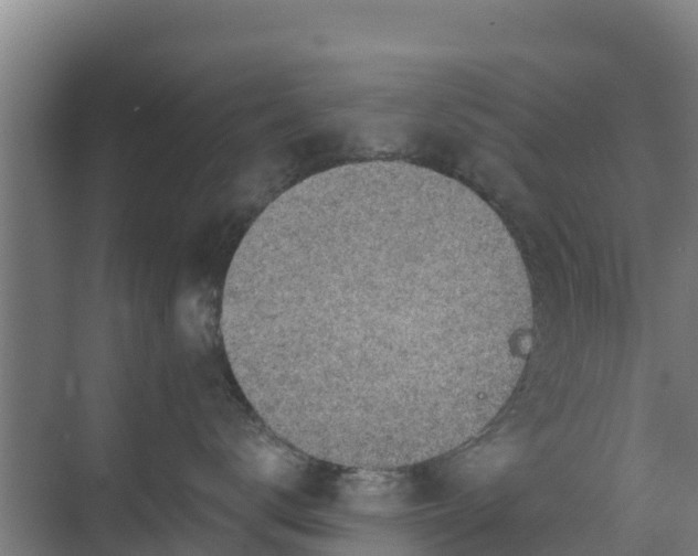 X0000069810672200605261750