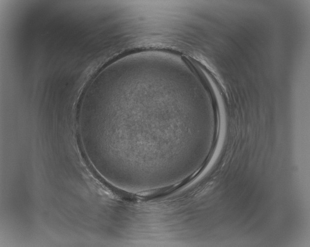 X0000069810673200605261749