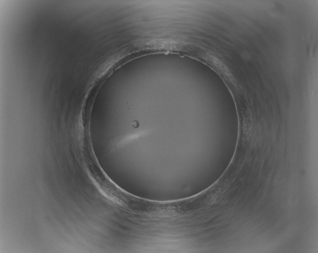 X0000069810674200605261749