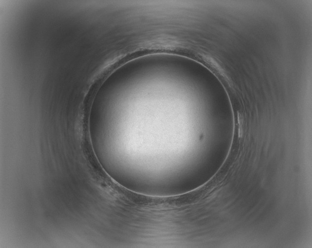 X0000069810675200605261749