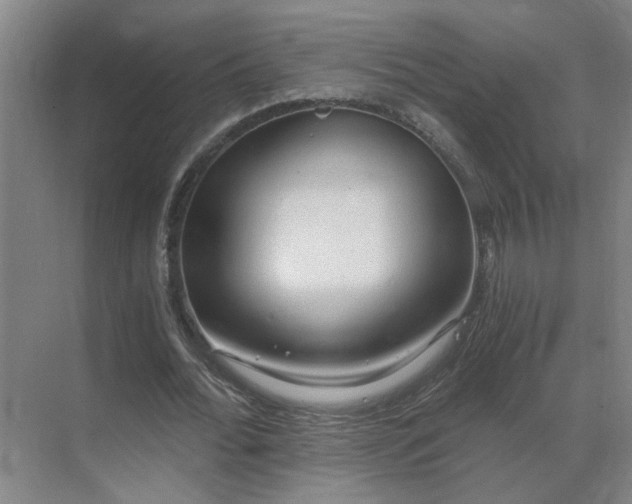 X0000069810676200605261749