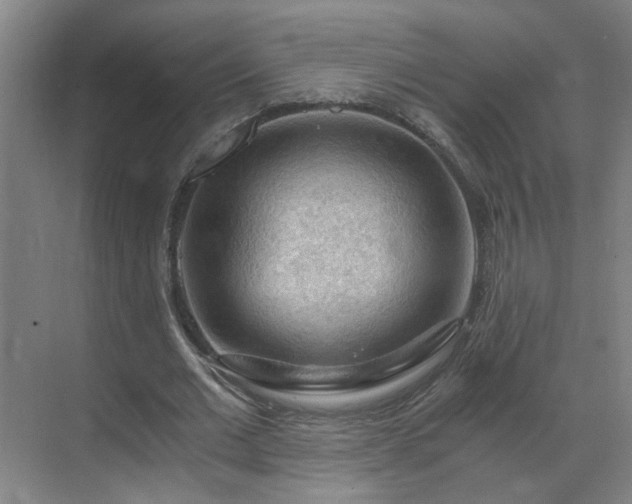 X0000069810677200605261749