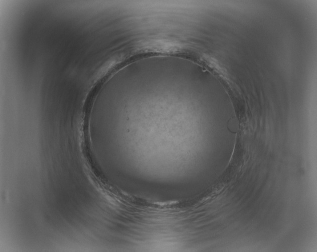 X0000069810679200605261749