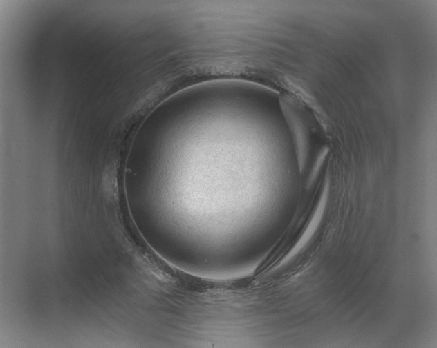 X0000069810681200605261749