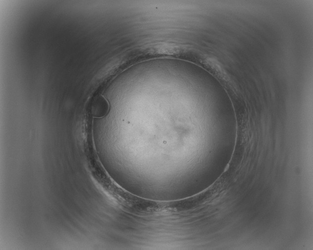 X0000069810683200605261749