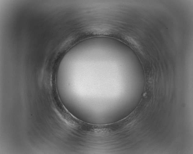 X0000069810686200605261749