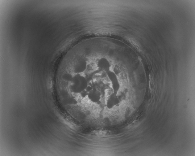 X0000069810687200605261749