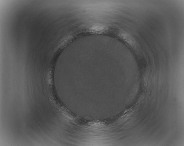 X0000069810689200605261749