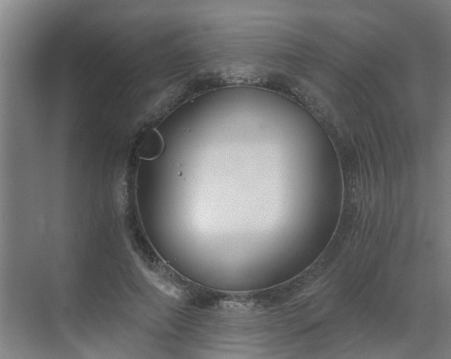 X0000069810690200605261749