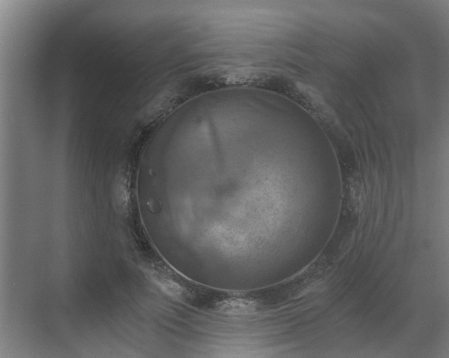 X0000069810691200605261749