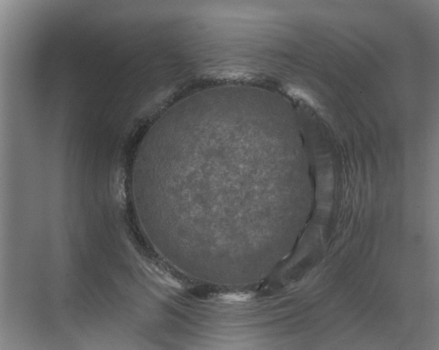 X0000069810692200605261749