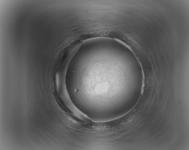 X0000069810693200605261749