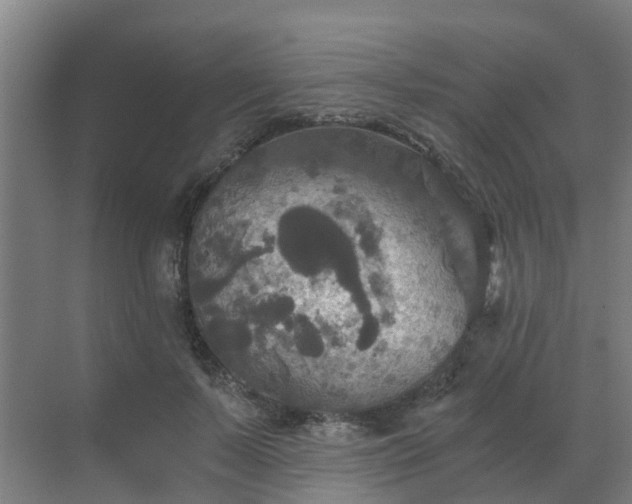 X0000069810695200605261749