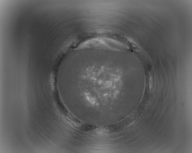 X0000069810696200605261749