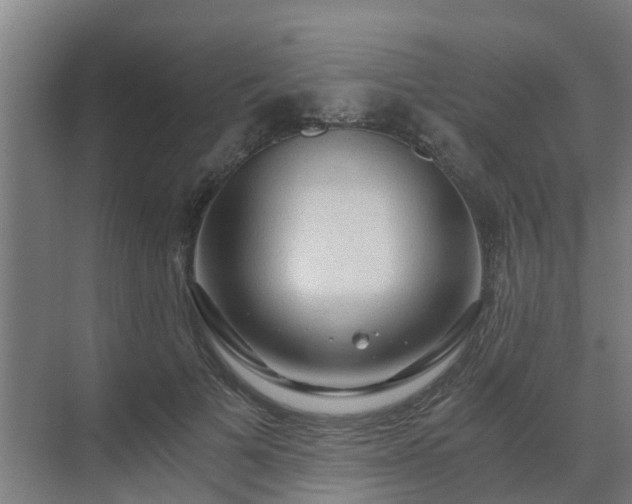 X0000069810697200605261749