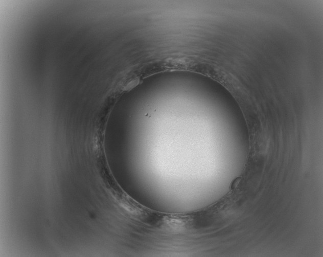 X0000069810706200605261749