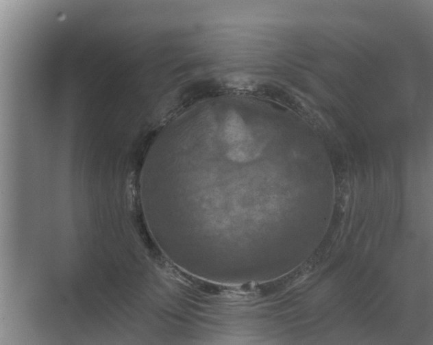 X0000069810707200605261749