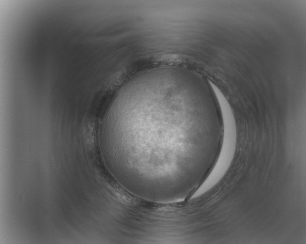 X0000069810708200605261749