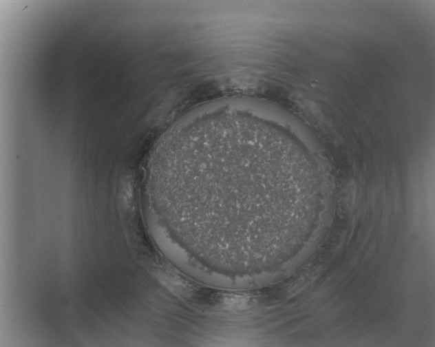 X0000069810709200605261748