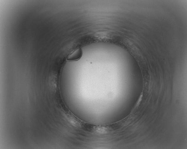 X0000069810710200605261748