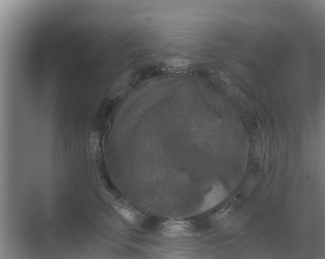 X0000069810711200605261748