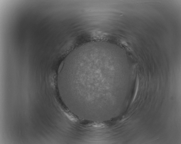 X0000069810712200605261748