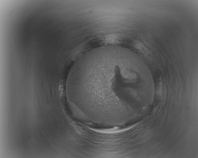 X0000069810715200605261748