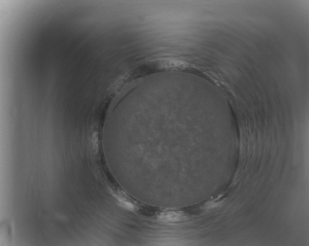 X0000069810716200605261748