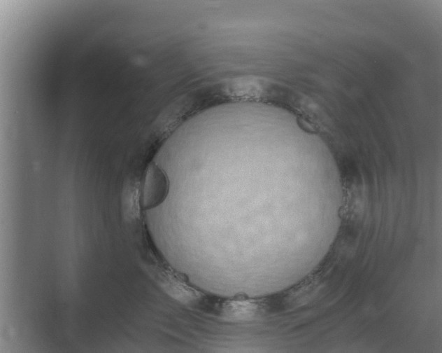 X0000069810717200605261748