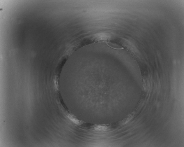 X0000069810718200605261748