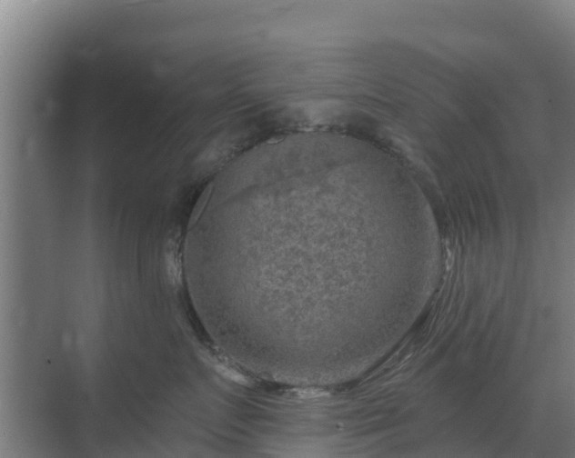 X0000069810719200605261748