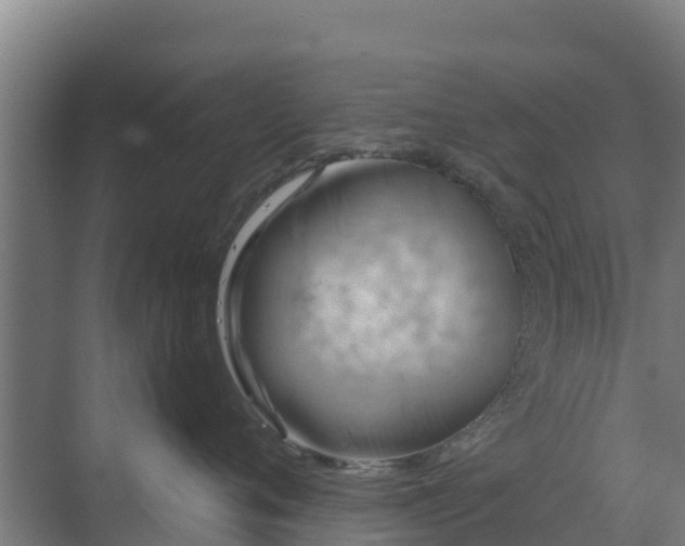 X0000069810720200605261748