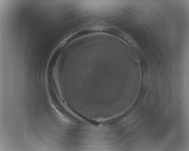 X0000069810722200605261748