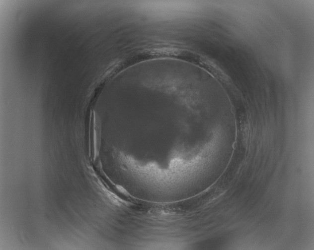 X0000069810729200605261748