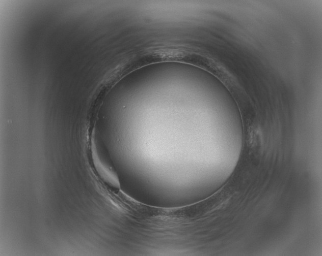 X0000069810733200605261748