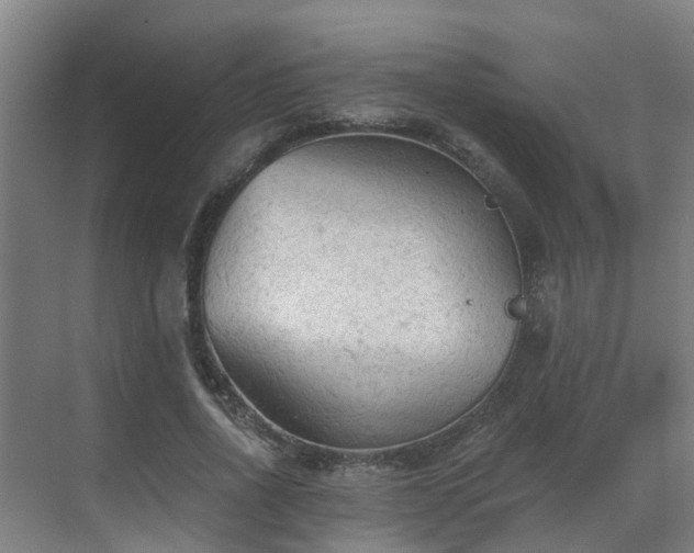 X0000069810734200605261748