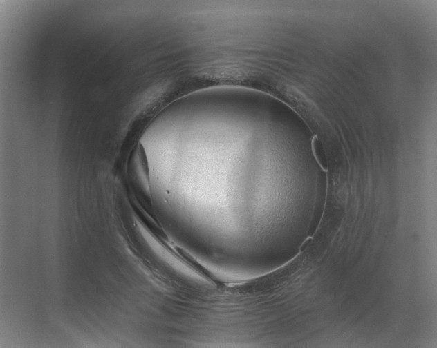 X0000069810735200605261748