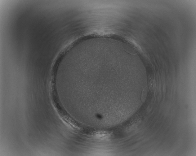 X0000069810736200605261748